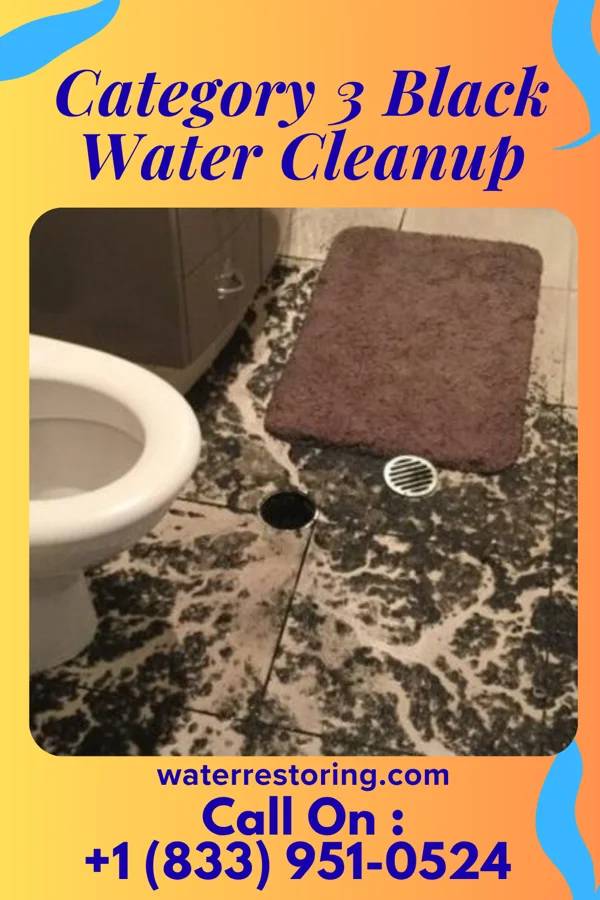 Category 3 Black Water Cleanup in Perezville, TX
